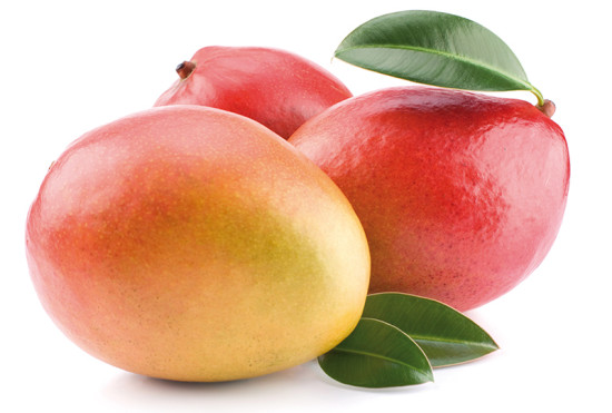 Fruchtpüree Mango *. Ein Produkt der Agrano AG