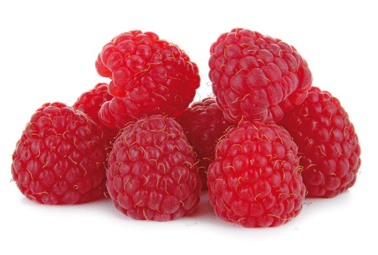 Capfruit Fruchtpüree Himbeere. Ein Produkt der Agrano AG